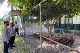 Bantu ekonomi warga, Polres Siak berikan bibit tanaman dan bebek petelur