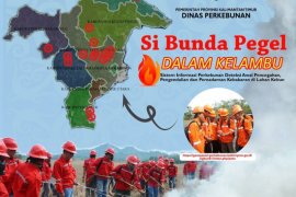 Tiga program inovasi Disbun Kaltim masuk Sinovik Kementerian PAN-RB