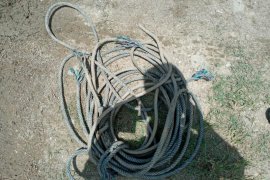 Pawang tewas saat menangkap kerbau liar di Aceh Utara, begini kronologinya