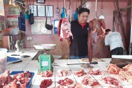 Jelang lebaran harga daging sapi  di Tanjungpinang stabil