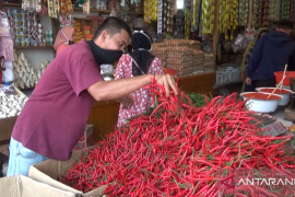 Harga kebutuhan pokok di Padang relatif stabil dua hari jelang Lebaran (Video)