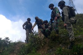 Kelompok Kriminal tembak satu warga sipil di Timika