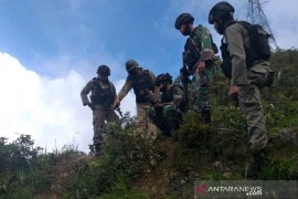Delapan warga sipil tewas ditembaki di Kabupaten Puncak