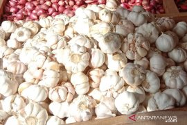 Harga bawang putih di pasar Ambon turun