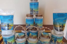 Garam beryodium Klungkung terus berkembang