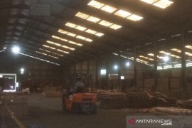 Ekspor kayu lapis Kaltim meningkat di masa pandemi COVID-19