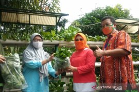 Senator: DKI punya potensi besar kembangkan industri tanaman pangan