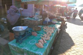 Harga ayam di pasar tradisional Kalsel tinggi