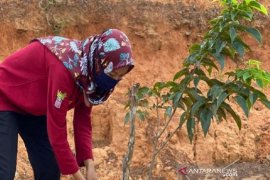 Personil KPH Balangan diminta cegah Karhutla dan penyebaran COVID-19