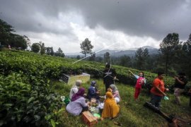 Kawasan Puncak Mulai Ramai Wisatawan Page 1 Small