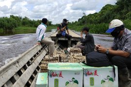 Kabupaten Mesuji distribusikan sebanyak 9.501 sembako gunakan perahu
