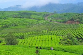 Wisata Kerinci tunggu waktu kedatangan wisatawan