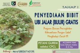 KAHMI Babel lakukan pemberdayaan petani kecil
