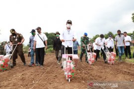 Pemkab Garut dorong peningkatan produksi jagung lokal