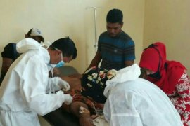 Warga Bengkalis alami 17 luka diduga akibat diterkam harimau, begini kronologinya