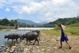 Petani Abdya tagih janji Pembangunan sayap kanan irigasi Krueng Susoh