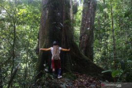 Komunitas adat Indonesia menangi Equator Prize 2020 dari PBB