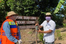 SBI dan DLH Kalsel tanam 10 ribu pohon Kasturi peringati Hari Lingkungan Hidup