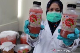 LIPI ciptakan minuman jambu biji sebagai suplemen untuk peningkat imun tubuh