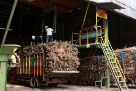 PG Pesantren Baru Kediri terapkan protokol kesehatan ketat saat musim giling