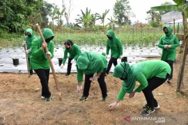 Persit KCK Tanam Sayur