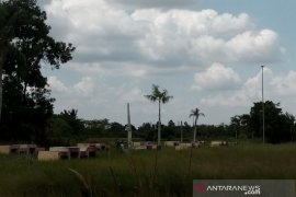 Dinas Perkim Kabupaten Penajam usulkan biaya perawatan RTH Rp4 miliar