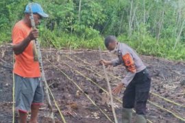 Kapolres Supiori: Bhabinkamtibmas Kampung Duber ajak warga bertani