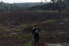 Tahura Kabupaten Paser kembangkan agroforestry