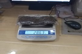 Ambil ganja gudang angkutan kargo, OR dibekuk polisi