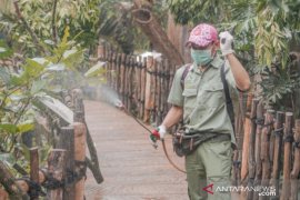 Royal Safari Garden Bogor siapkan konsep "new normal"