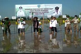 BBKP Surabaya dukung program percepatan tanam padi di Nganjuk