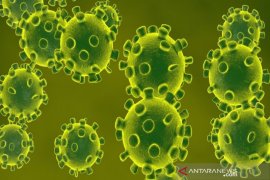 Pasien PDP asal Madina yang dirujuk ke Medan dinyatakan negatif