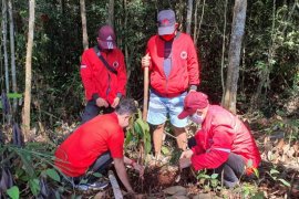 PDI P Sekadau kembali bagikan sembako dan tanam pohon
