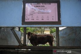 Balai inseminasi buatan di Lembang