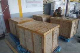 BBKSDA Sumut lepas liarkan ribuan Prenjak dan Gelatik Batu di Sibolangit