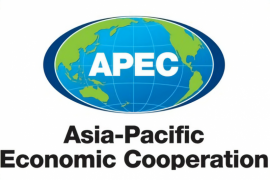 COVID-19 crisis to deepen economic slump in APEC: report