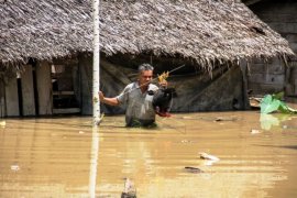 Selamatkan Ternak Ditengah Banjir Page 1 Small