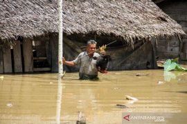 SELAMATKAN TERNAK DITENGAH BANJIR Page 1 Small