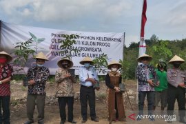 Pemkab Kulon Progo dorong pengembangan Agrowisata Watu Gajah
