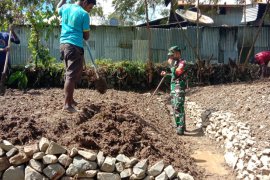 Babinsa Kodim 1714 Puncak Jaya bantu warga buka lahan berkebun