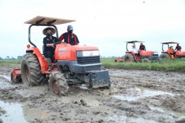 Mentan ingin pastikan produksi pertanian di tengah COVID-19