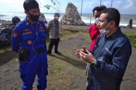 Paus sperma kerdil diduga dikejar predator hingga pantai