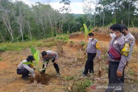 Tingkatkan ketahanan pangan, Polres Bengkulu Utara tanam pisang dan ubi kayu