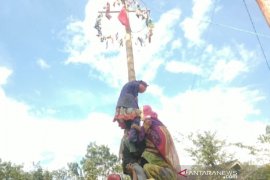 Naik pinang, tingkatan kecintaan anak-anak di Batu Benawa pada budaya lokal