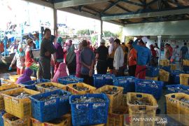 Aktivitas lelang ikan TPI di  Batang sepi