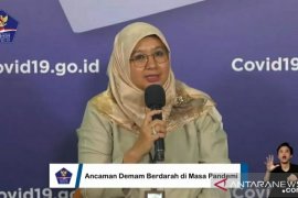 500 kasus DBD per hari di Indonesia