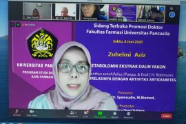 Ramuan herbal bisa jadi alternatif pengobatan diabetes saat pandemi