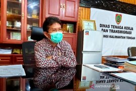 Tidak ada rencana transmigrasi di Kalteng terkait program ketahanan pangan