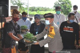 Bupati Tabanan bagikan 133.000 bibit cabai kepada petani terdampak COVID-19