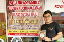 Sering beri makan kucing terlantar, selebgram Rizki Nasution sukses bersama petshopnya